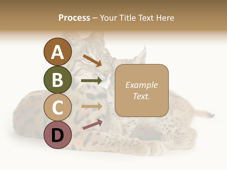 Tenderness Nocturnal Whisker PowerPoint Template