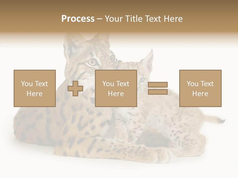 Tenderness Nocturnal Whisker PowerPoint Template