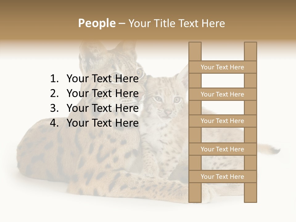 Tenderness Nocturnal Whisker PowerPoint Template