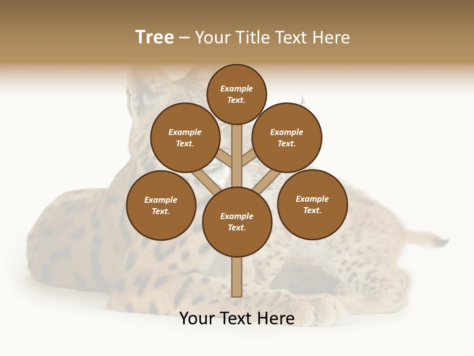 Tenderness Nocturnal Whisker PowerPoint Template