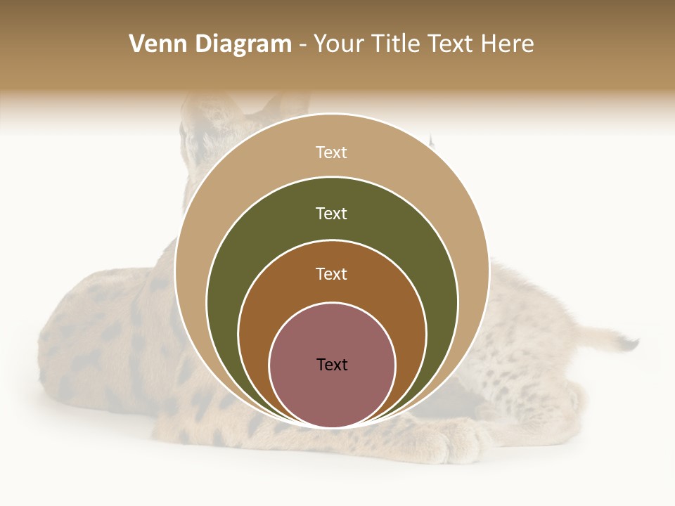 Tenderness Nocturnal Whisker PowerPoint Template