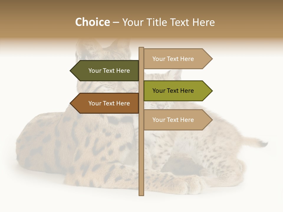 Tenderness Nocturnal Whisker PowerPoint Template