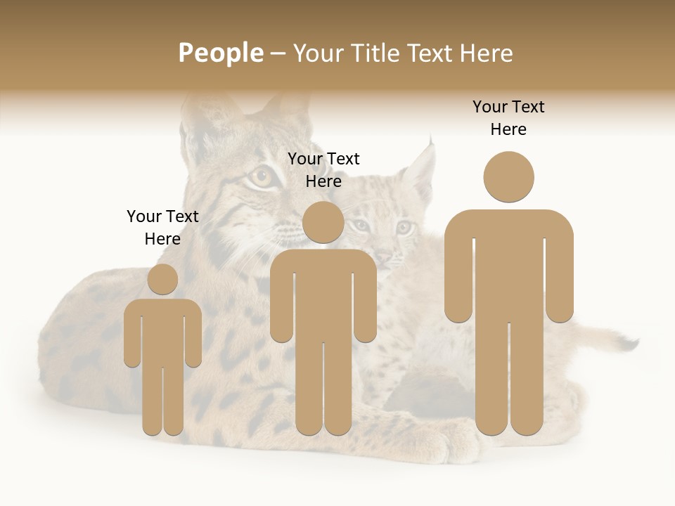 Tenderness Nocturnal Whisker PowerPoint Template