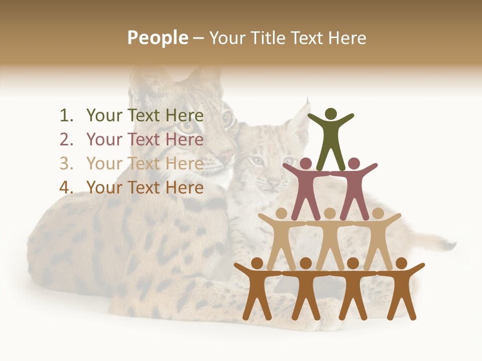 Tenderness Nocturnal Whisker PowerPoint Template