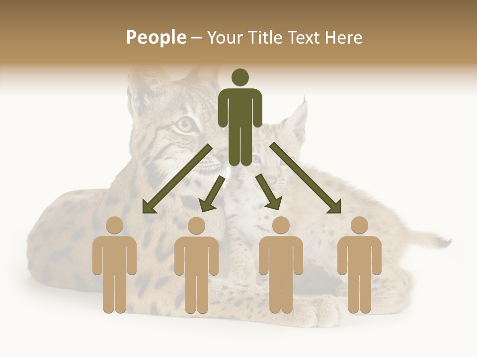 Tenderness Nocturnal Whisker PowerPoint Template