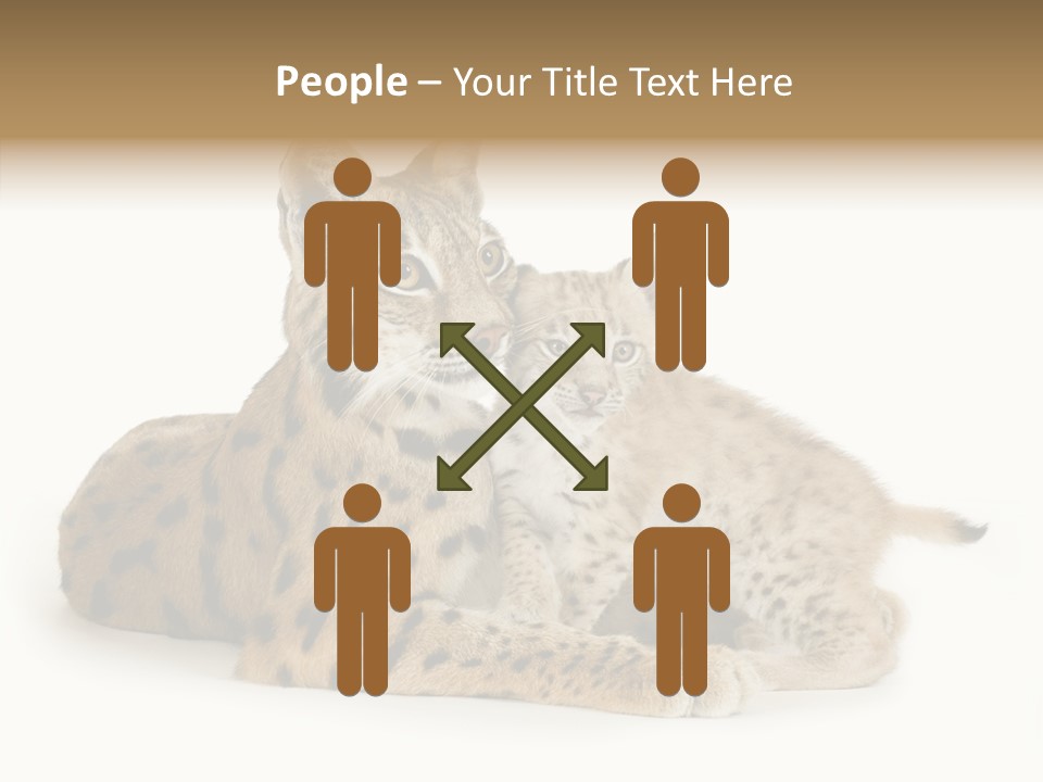 Tenderness Nocturnal Whisker PowerPoint Template