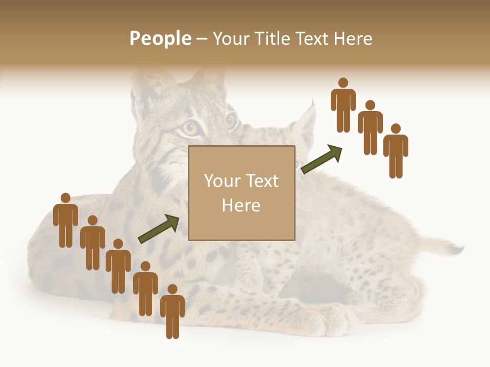 Tenderness Nocturnal Whisker PowerPoint Template