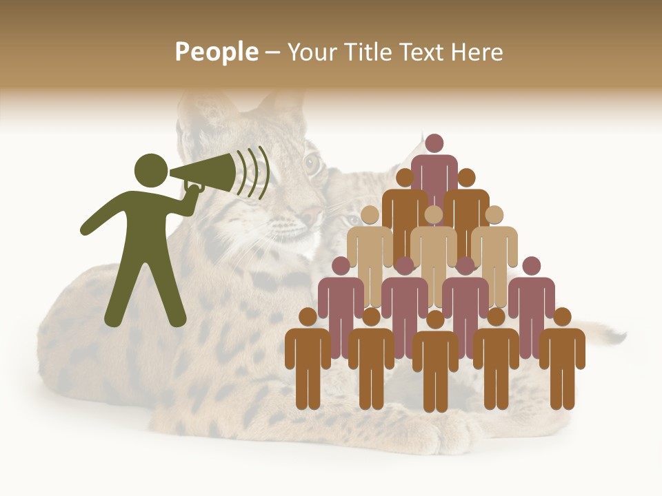 Tenderness Nocturnal Whisker PowerPoint Template