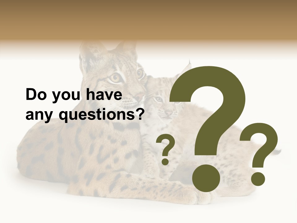 Tenderness Nocturnal Whisker PowerPoint Template