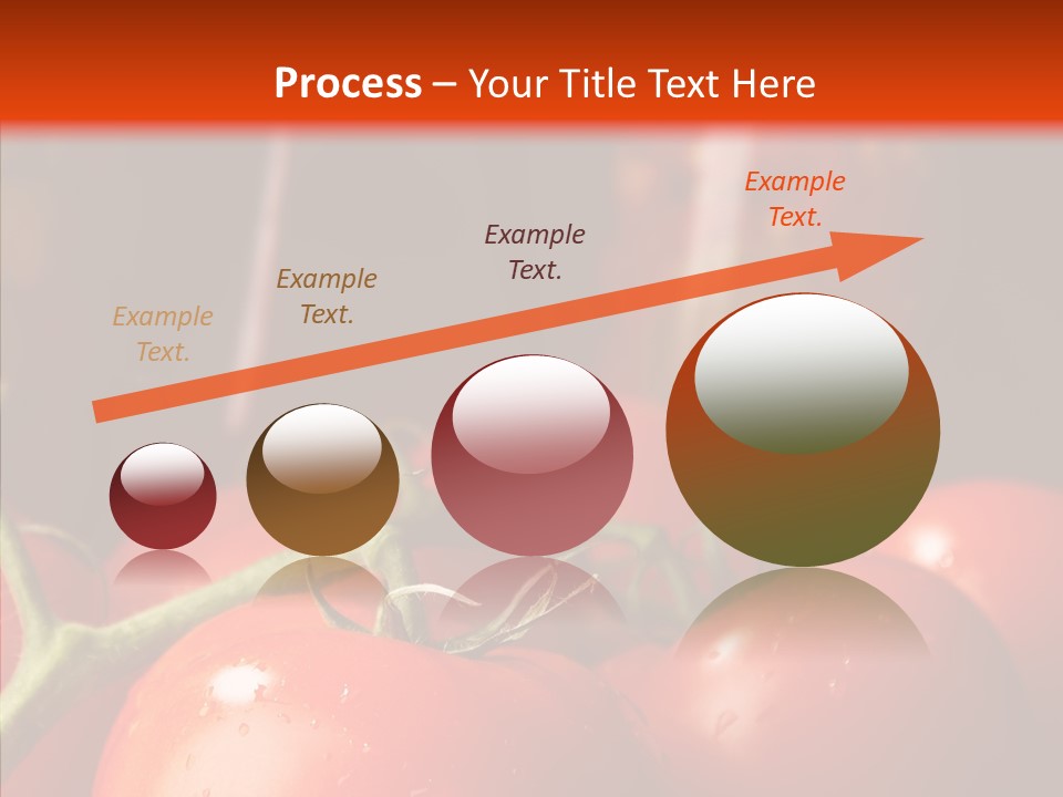 Ripened Group Tomato PowerPoint Template