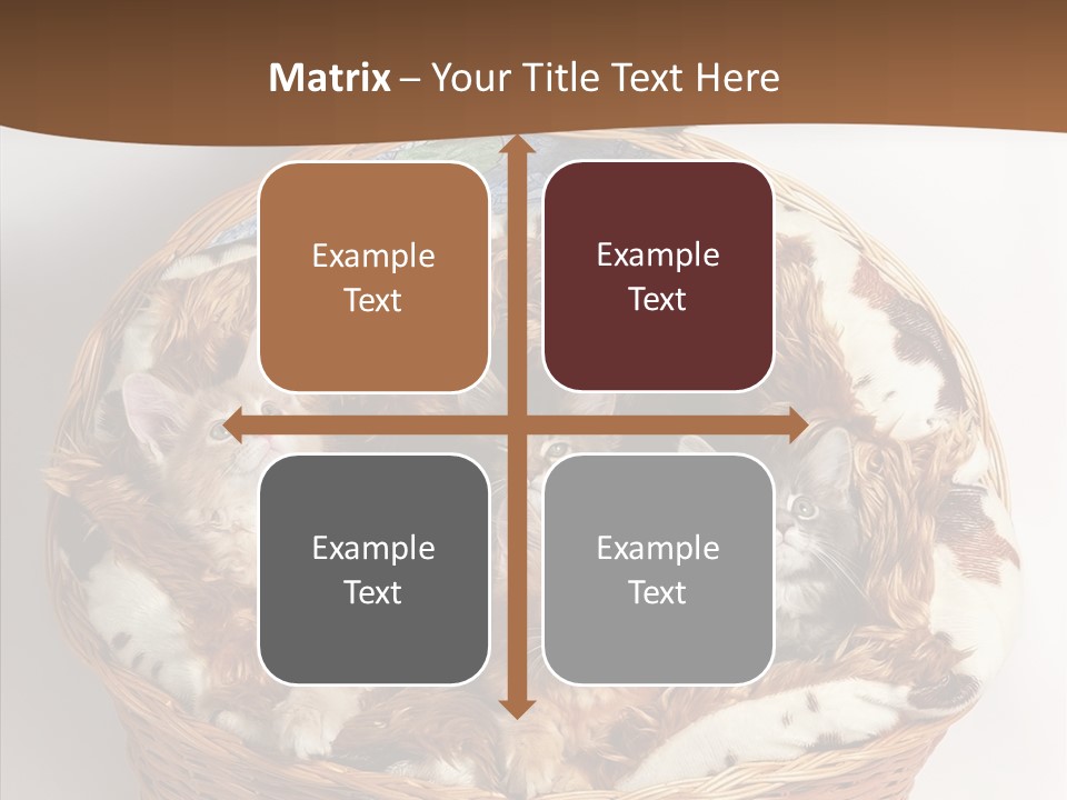 Whisker Breed Cat PowerPoint Template