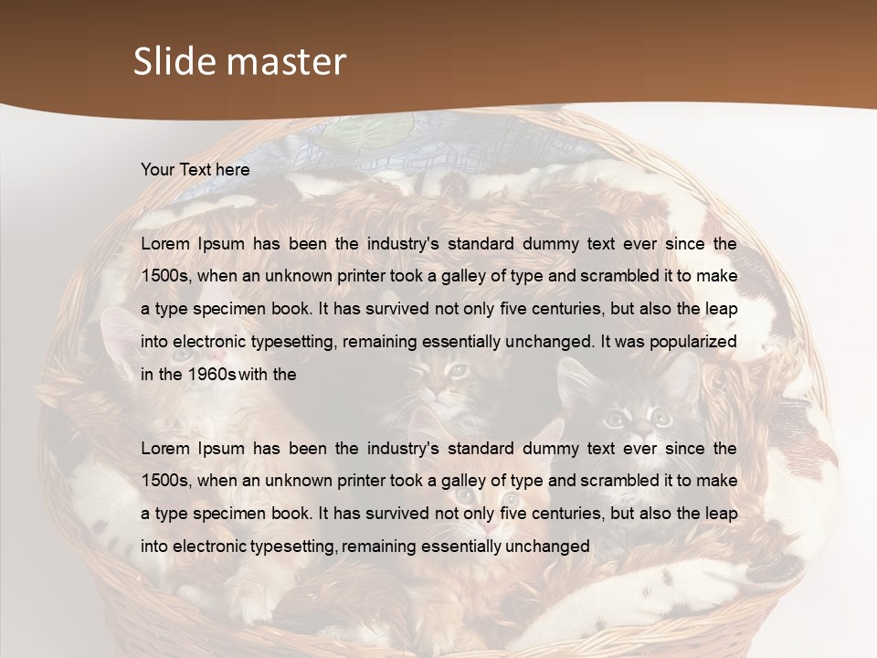 Whisker Breed Cat PowerPoint Template