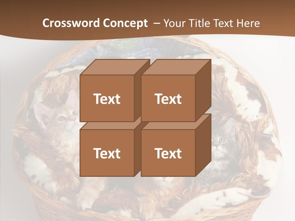 Whisker Breed Cat PowerPoint Template