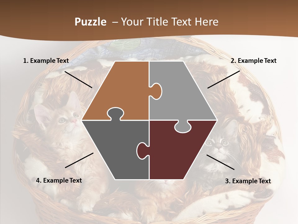 Whisker Breed Cat PowerPoint Template