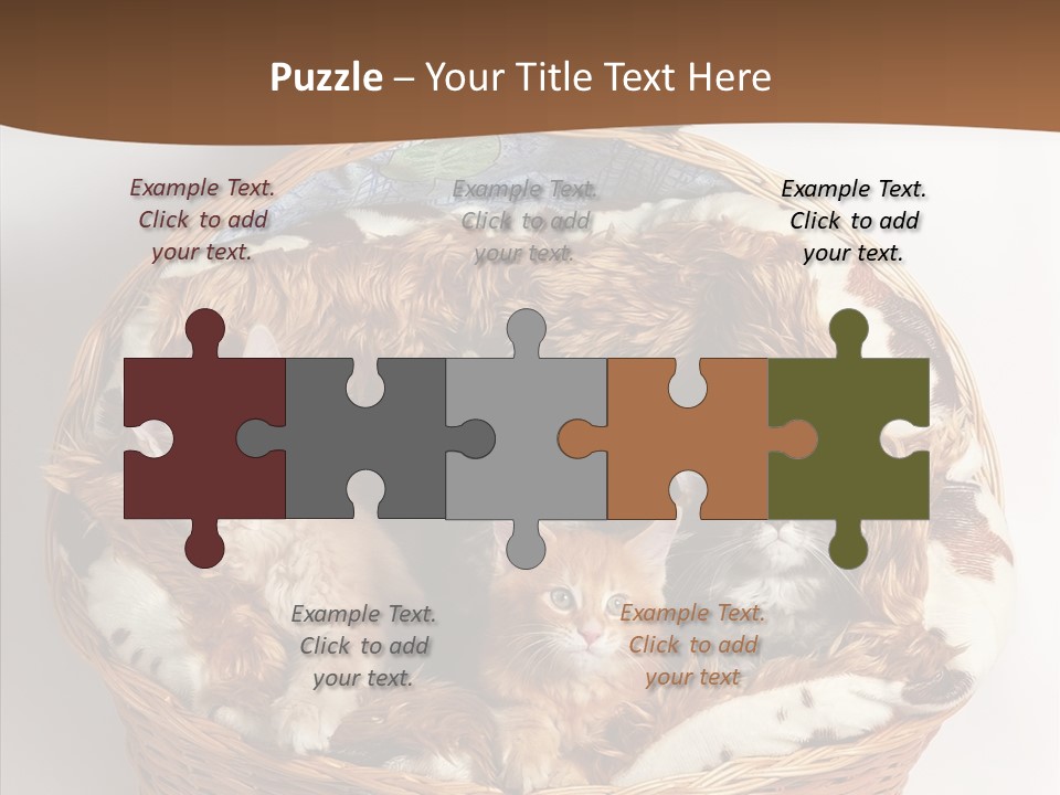 Whisker Breed Cat PowerPoint Template