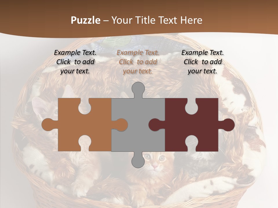 Whisker Breed Cat PowerPoint Template