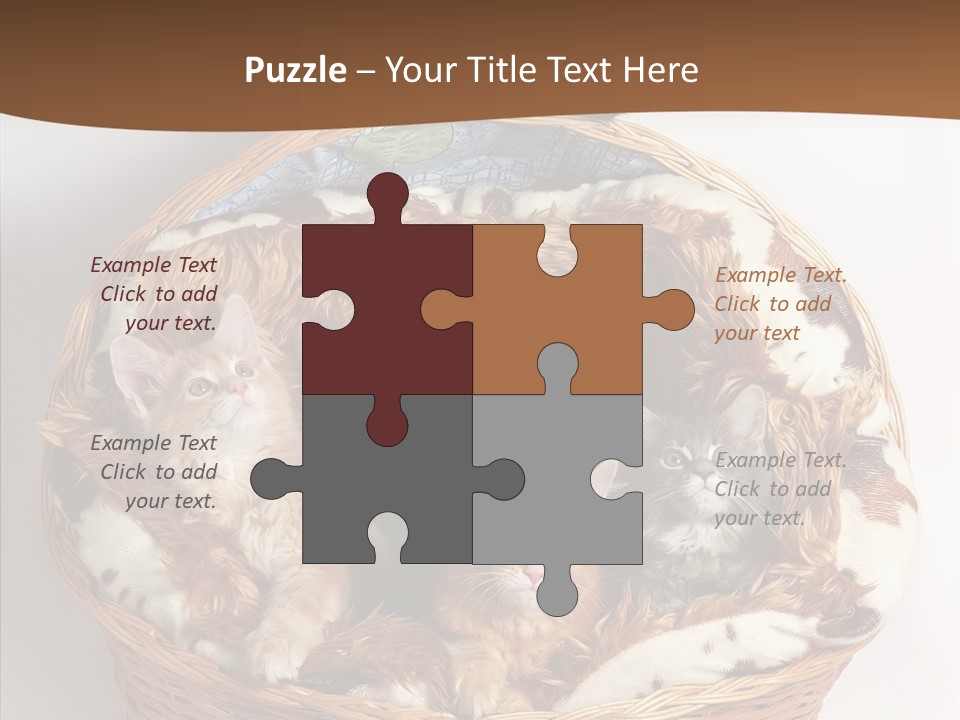 Whisker Breed Cat PowerPoint Template