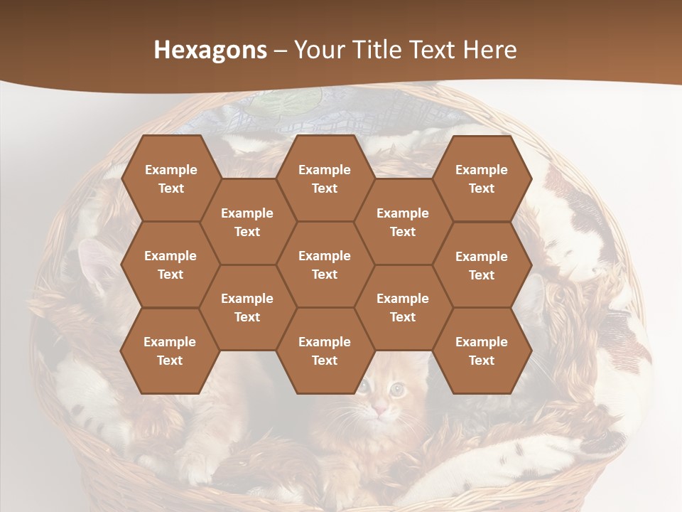 Whisker Breed Cat PowerPoint Template