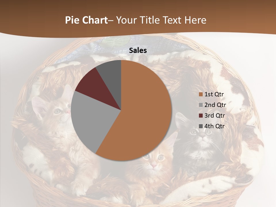 Whisker Breed Cat PowerPoint Template