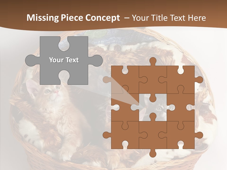 Whisker Breed Cat PowerPoint Template