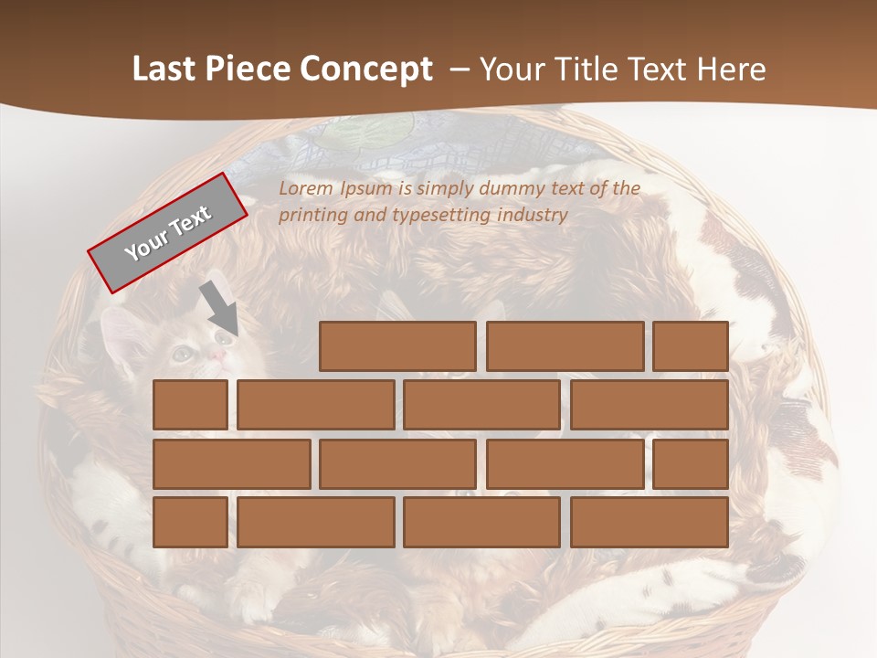 Whisker Breed Cat PowerPoint Template