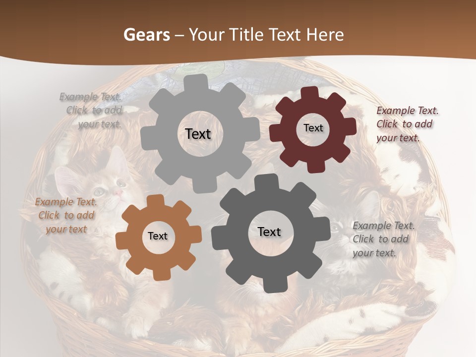 Whisker Breed Cat PowerPoint Template