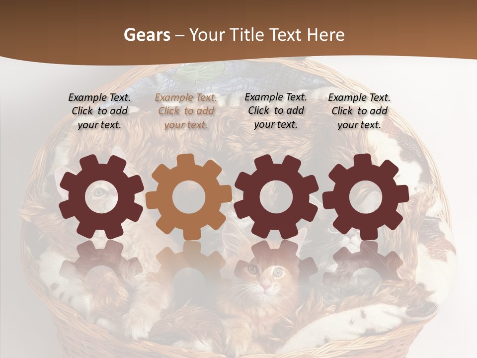 Whisker Breed Cat PowerPoint Template