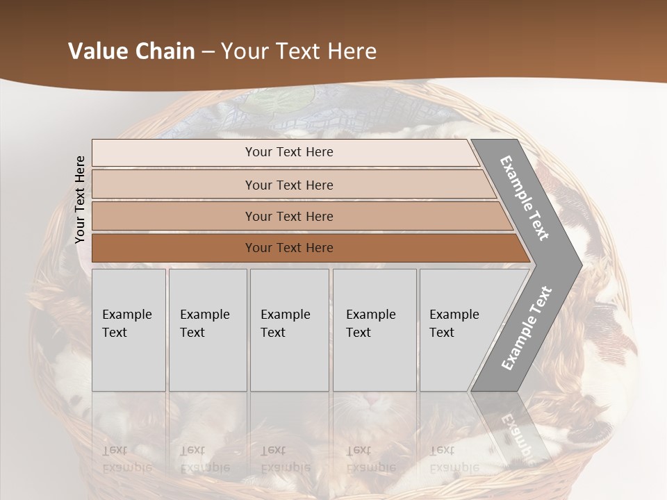 Whisker Breed Cat PowerPoint Template