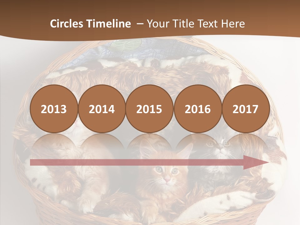 Whisker Breed Cat PowerPoint Template