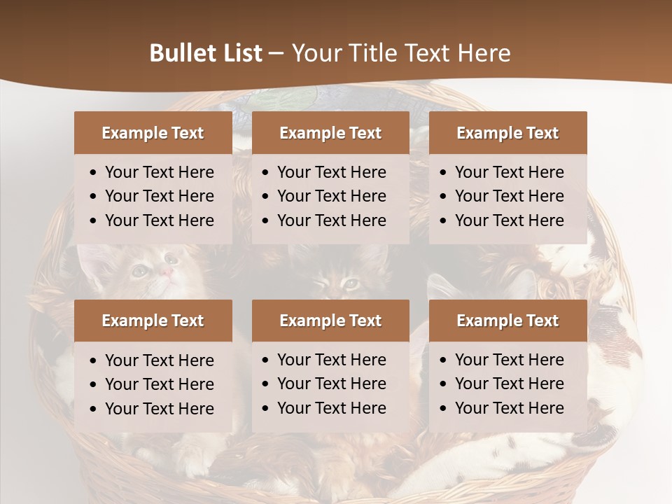 Whisker Breed Cat PowerPoint Template