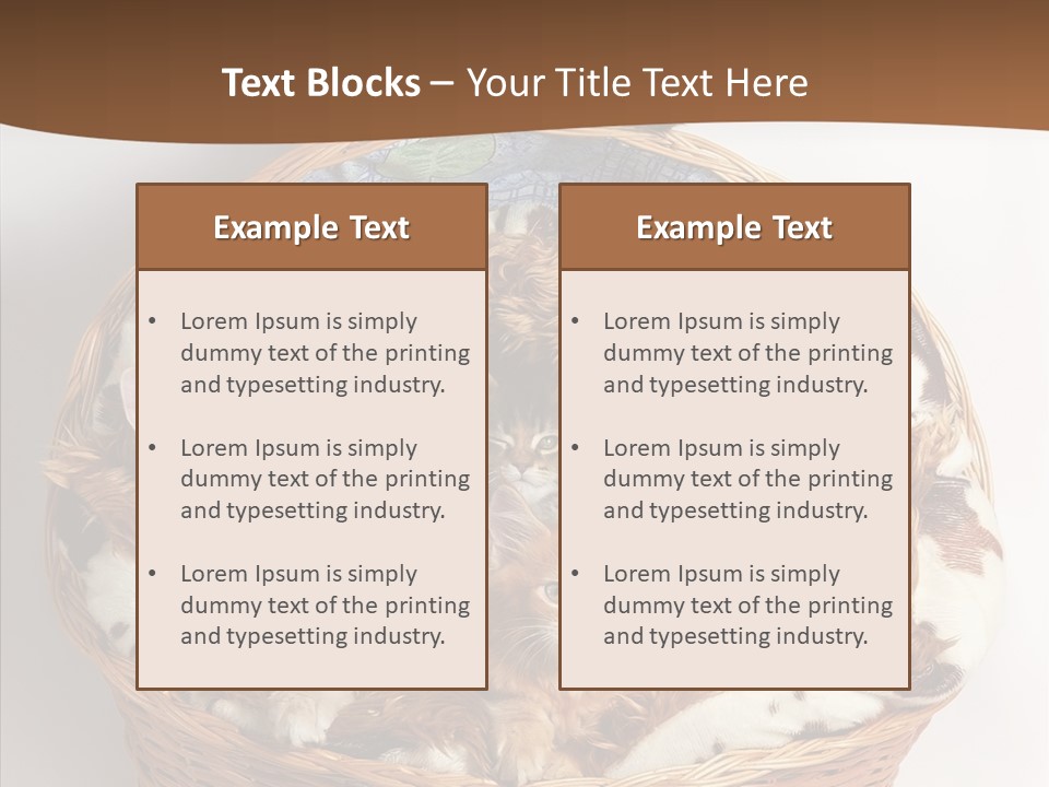 Whisker Breed Cat PowerPoint Template