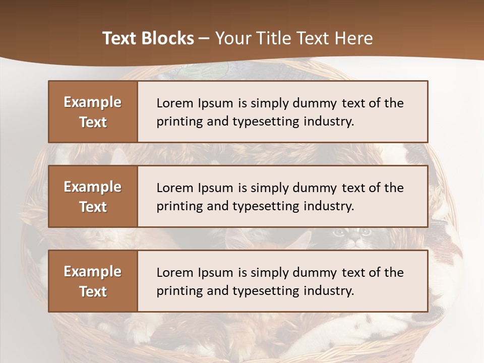 Whisker Breed Cat PowerPoint Template