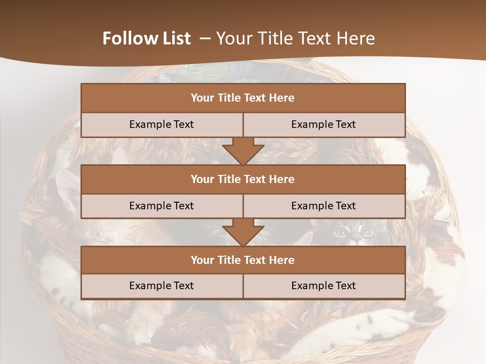 Whisker Breed Cat PowerPoint Template