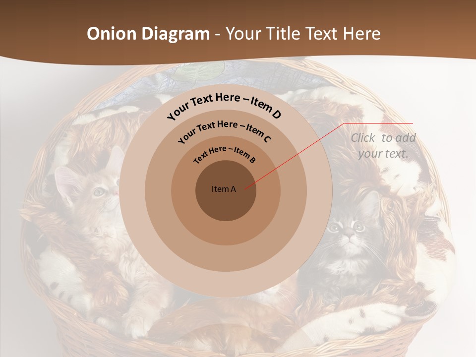 Whisker Breed Cat PowerPoint Template