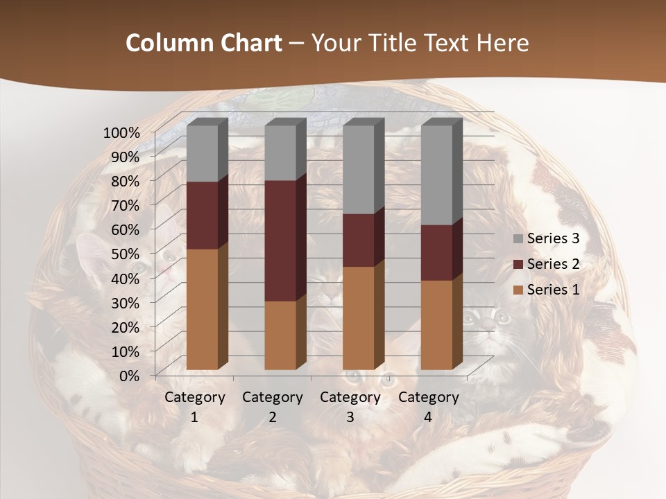 Whisker Breed Cat PowerPoint Template