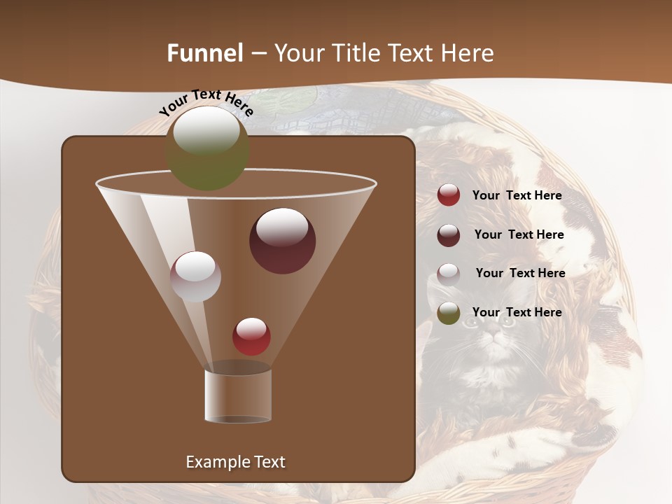 Whisker Breed Cat PowerPoint Template