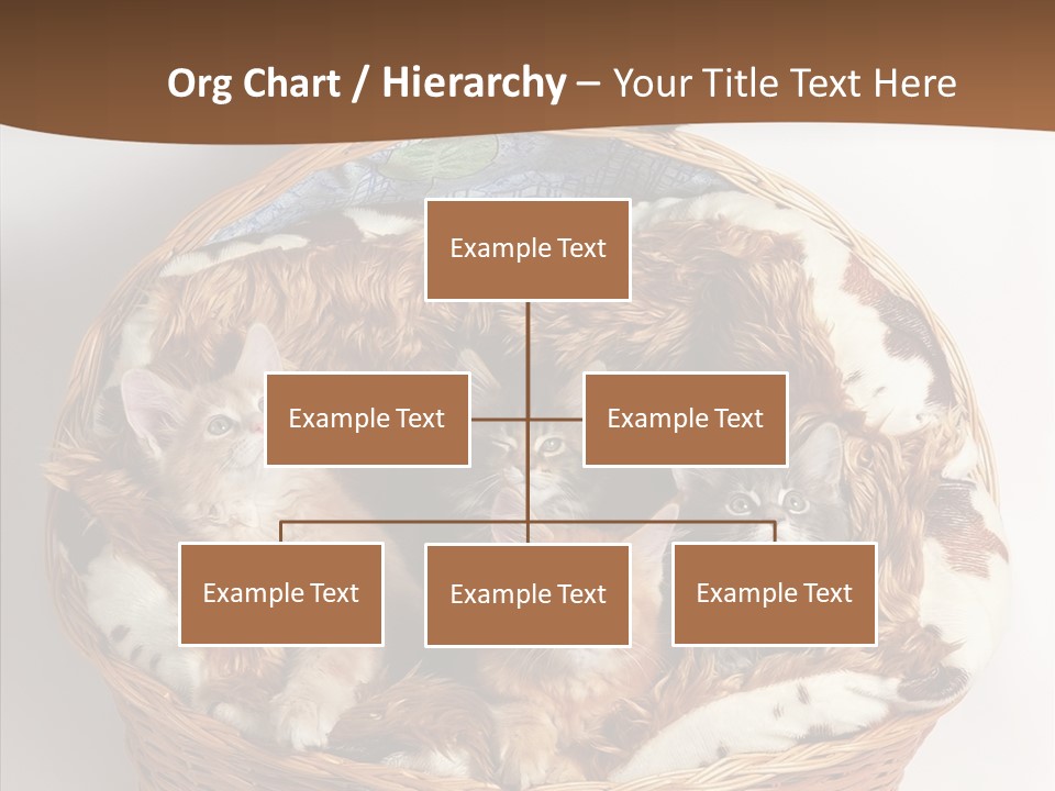 Whisker Breed Cat PowerPoint Template