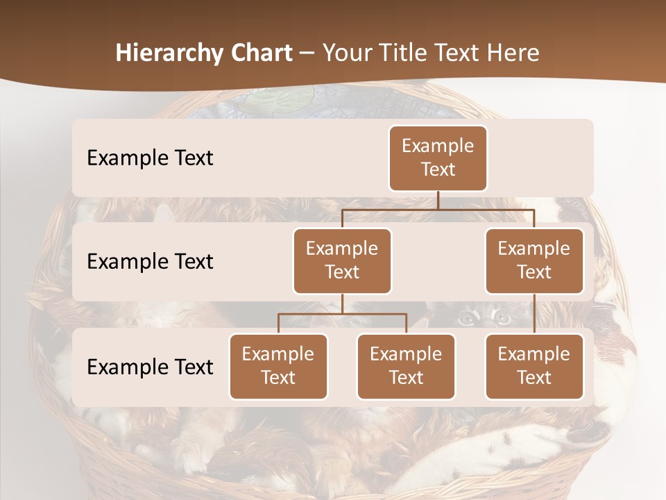 Whisker Breed Cat PowerPoint Template