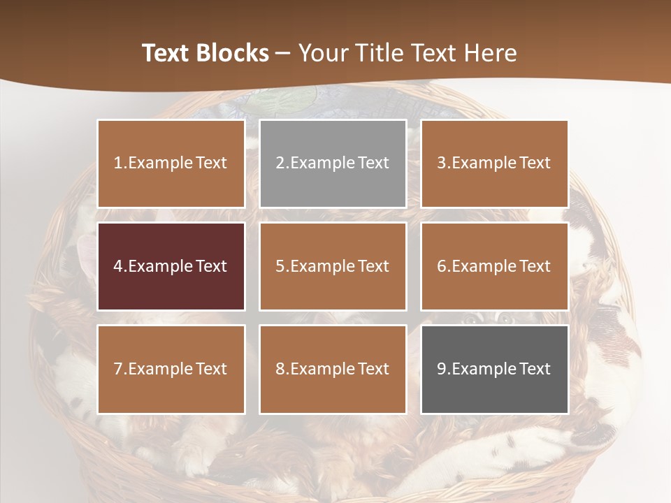 Whisker Breed Cat PowerPoint Template