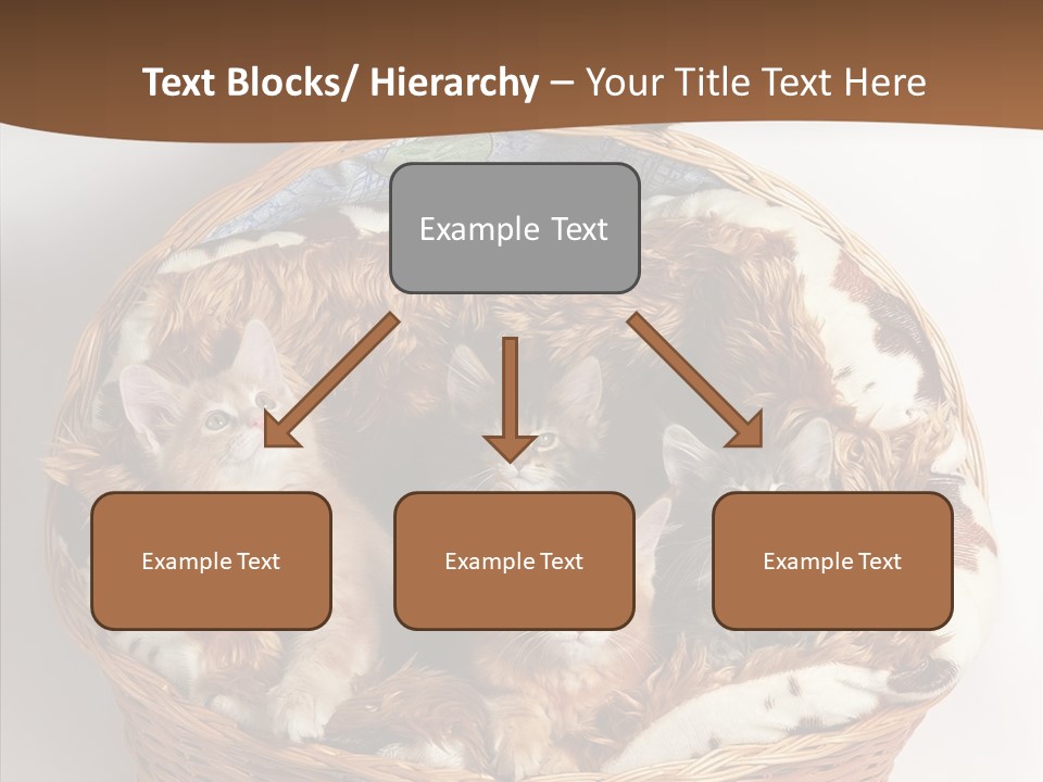 Whisker Breed Cat PowerPoint Template