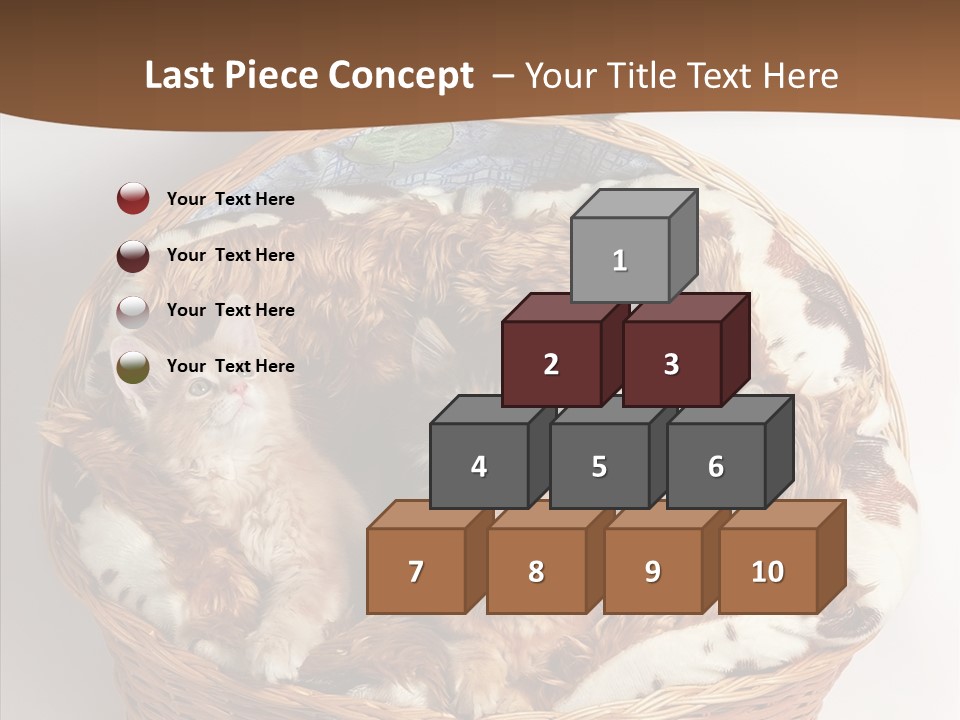 Whisker Breed Cat PowerPoint Template