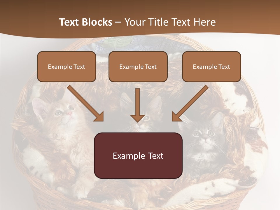 Whisker Breed Cat PowerPoint Template