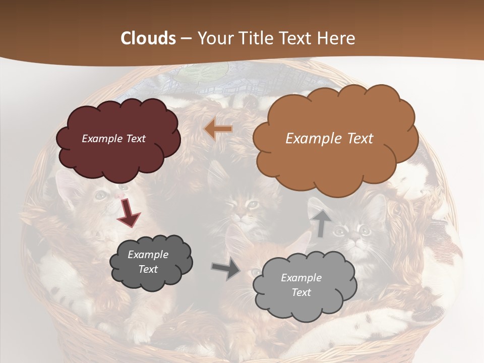 Whisker Breed Cat PowerPoint Template