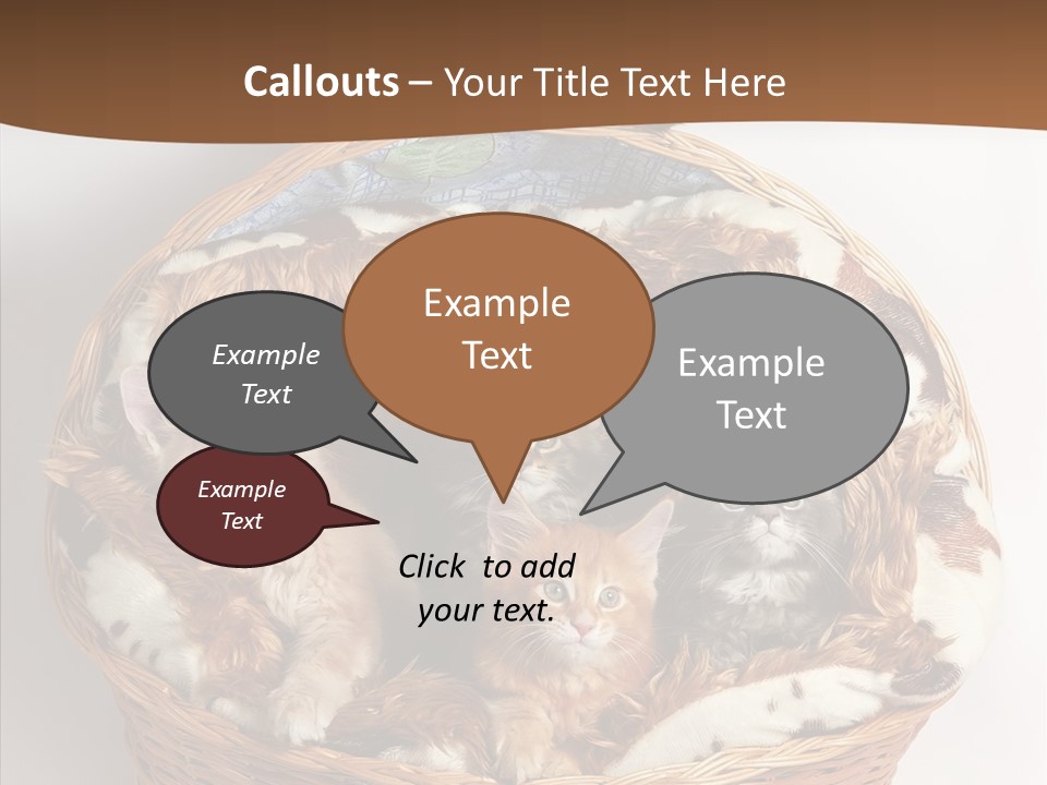 Whisker Breed Cat PowerPoint Template