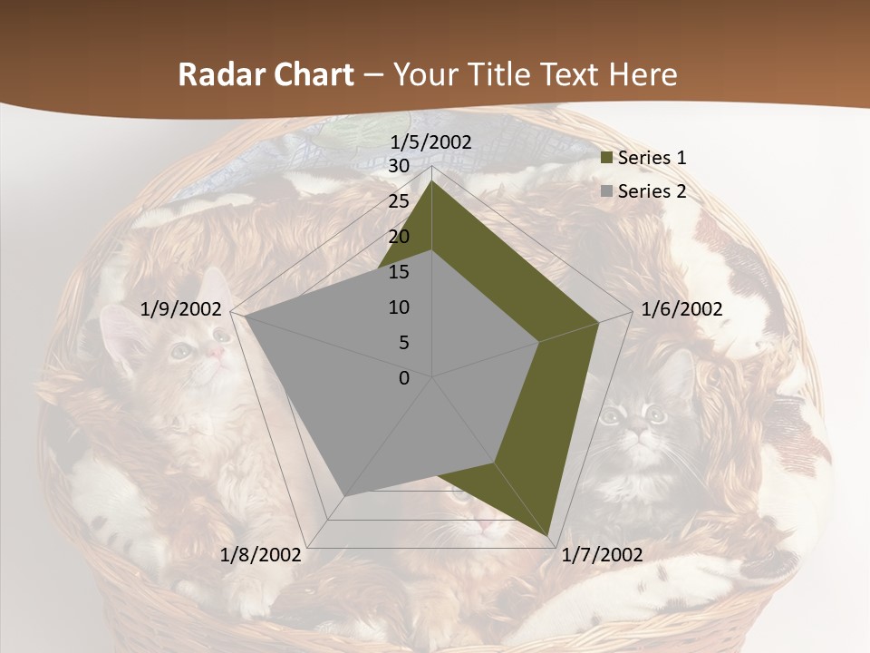 Whisker Breed Cat PowerPoint Template