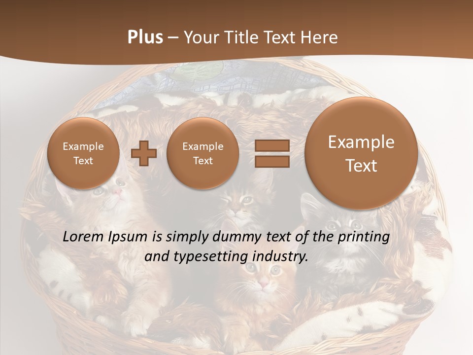 Whisker Breed Cat PowerPoint Template