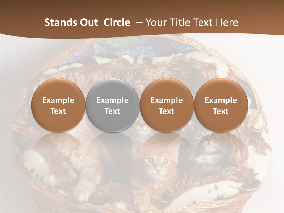 Whisker Breed Cat PowerPoint Template