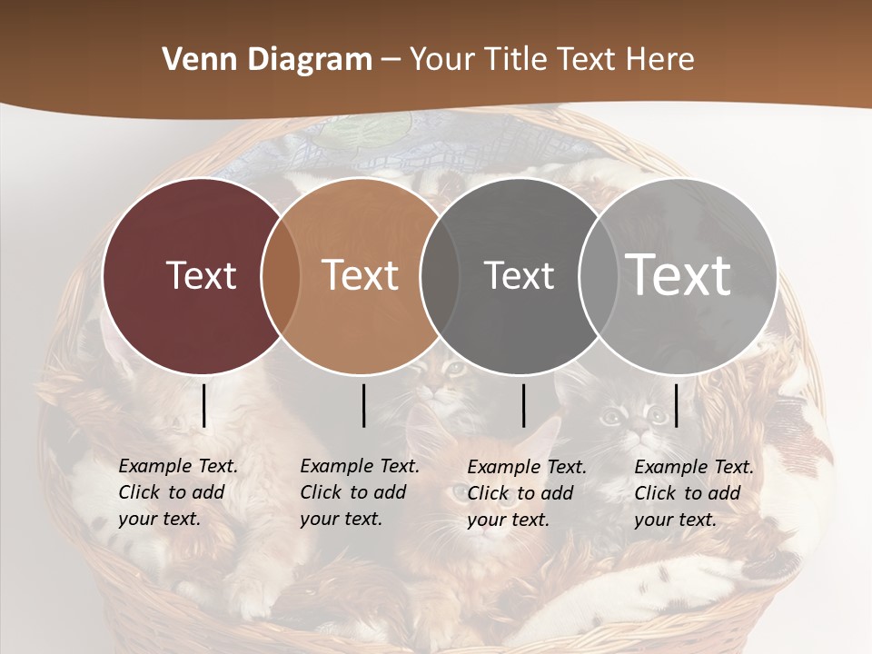 Whisker Breed Cat PowerPoint Template