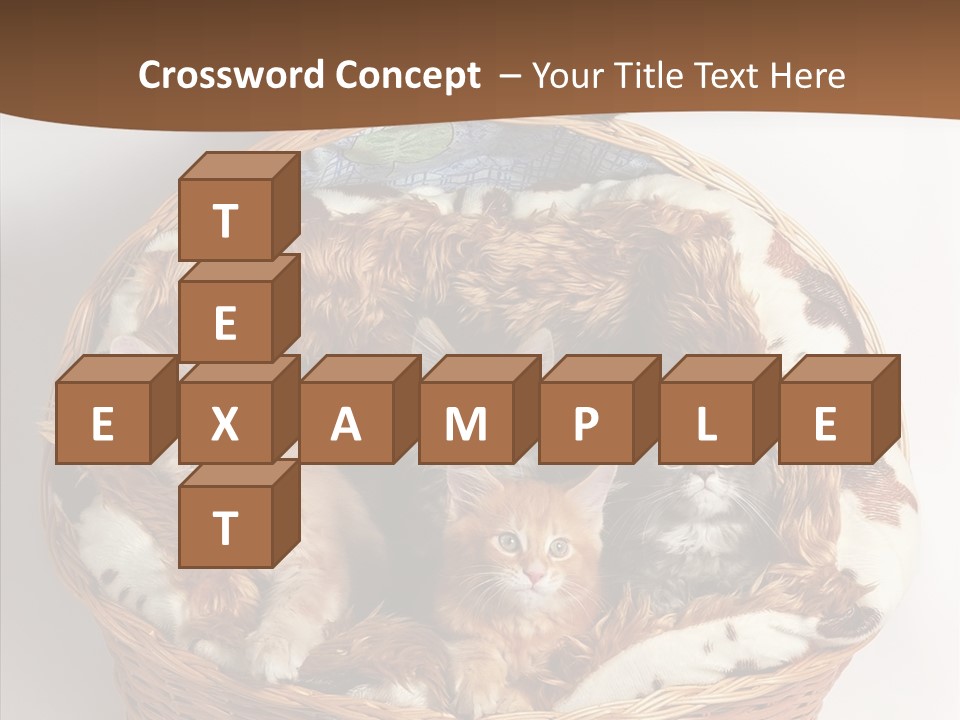 Whisker Breed Cat PowerPoint Template