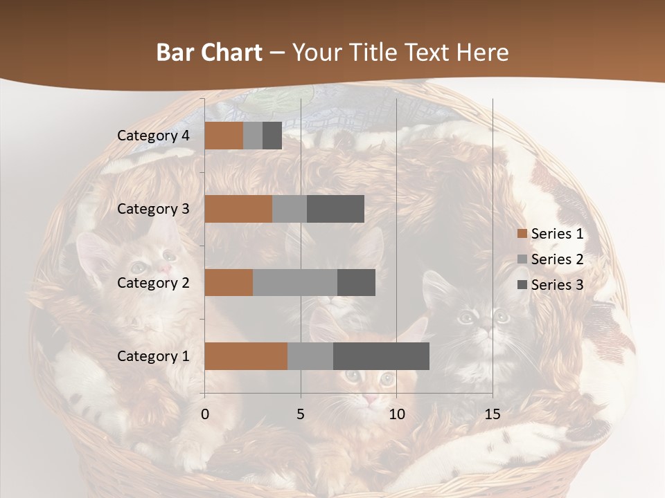 Whisker Breed Cat PowerPoint Template